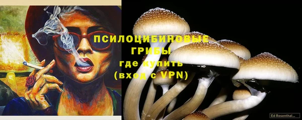 мдпв Покров