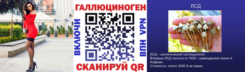 наркошоп  Светлый  Галлюциногенные грибы мухоморы 